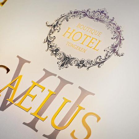 Boutique Hotel Caelus VII Tongeren Luaran gambar